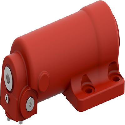 Swing Axle Cylinders