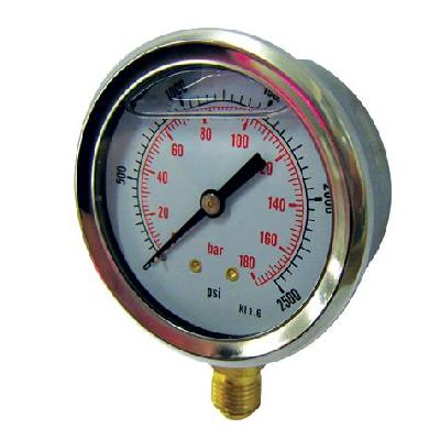 BSP Pressure Gauge