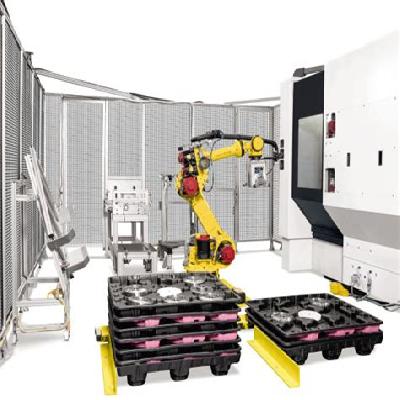 Customized Automation System