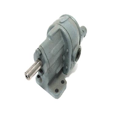 BSM Pump Corp. No.3-s Rotary Gear Pump