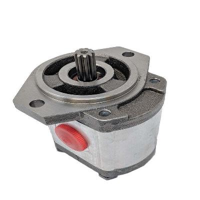 Rickmeier R31 16 Fl-V-l Hydraulic Gear Pump