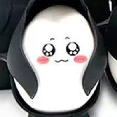Penguin Shaped Egg Storage And Boiler