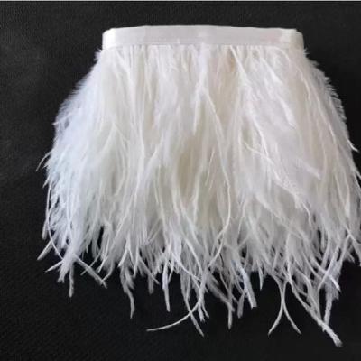 Decorative Feather Lace