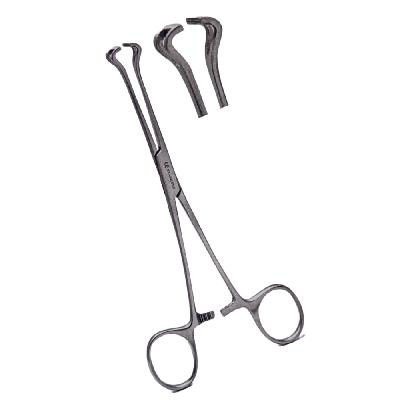Hospitime Babcock Tissue Forceps