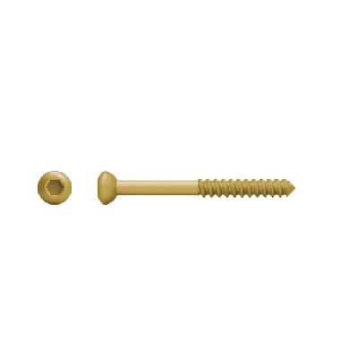 Low Profile Cancellous Screw