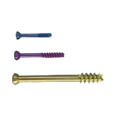 Orthopaedic Cannulated Screw