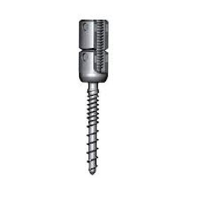 Poly Screw