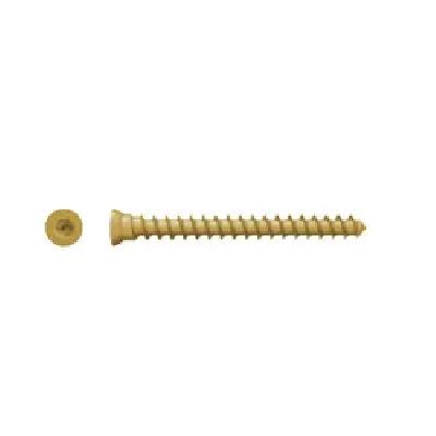 Steel Cancellous Screw