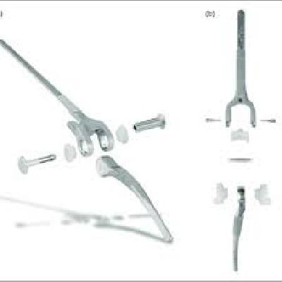 TEXX-21 Total Elbow Arthroplasty System