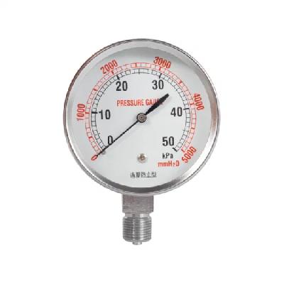 Pressure Gauge