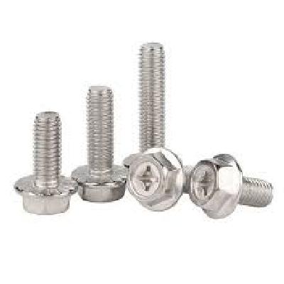 Stainless Steel  Hex Flange Bolt