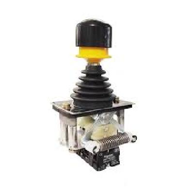 Joy Sticks Schneider