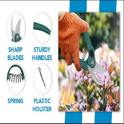 Flower Cutter Stainless Steel Gardening Tool Set with Garden Scissors, Pruning Seeds