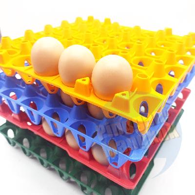 Plastic Egg Tray