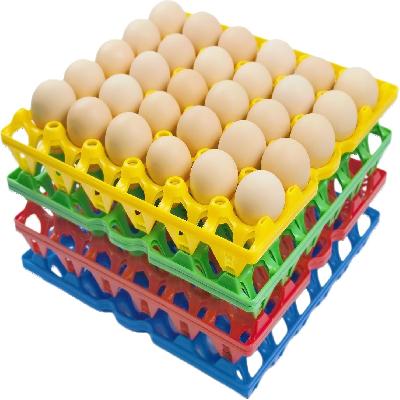 Plastic Egg Trays Box