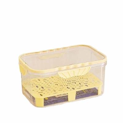 Transparent Plastic Lunch Box