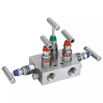 5 Way Manifold