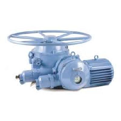 Nuclear Valve Actuators