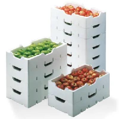 Thermocol Cosmetic Packaging Box