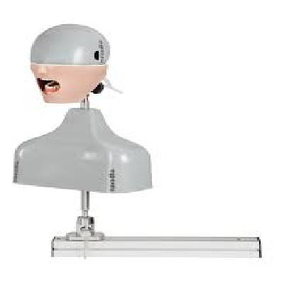 Table Top Dental Manikin / Phantom Head 