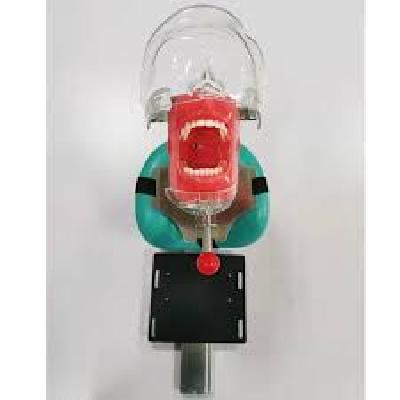 Dental Manikin Phantom Head With Frasaco Ag 3 Jaw