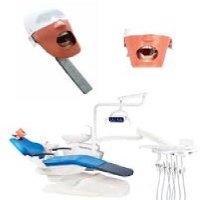 Dental Perio Phantom