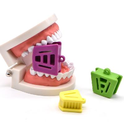 Dental Tooth Preparation Trainer Blocks