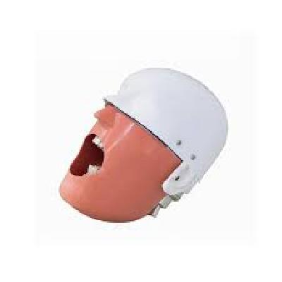 Implant Phantom Head