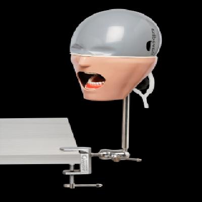 Iphantom Bench Mount Dental Manikin Phantom Head