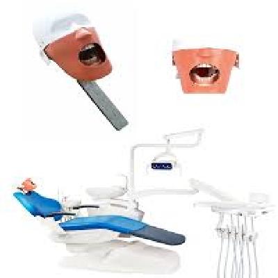 IPhantom Chair Mount Dental Manikin Phantom Head Simulator