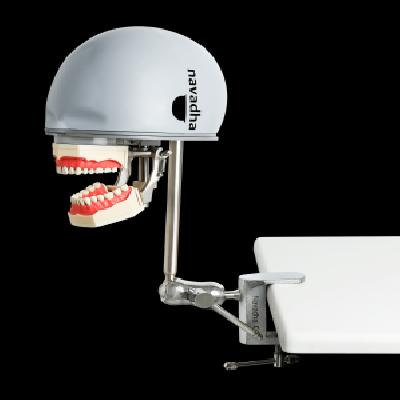 Isim Bench Mount Dental Manikin Phantom Head