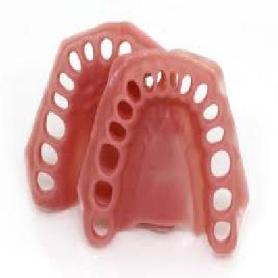 Navadha ZX Dental Typodont Teeth Set