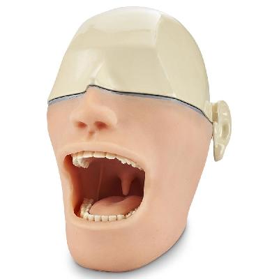 Oral Anesthetic Dental Training Mannequin - Made In USA