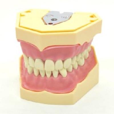 Oral Cavity Cover For Navadha Zx Jaw And Frasaco Jaw