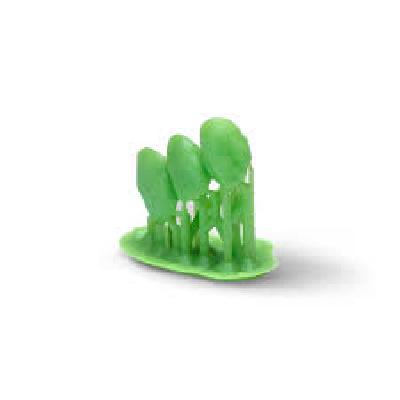 Phrozen Wax-like Castable Resin - Dental Green -  500 Grams