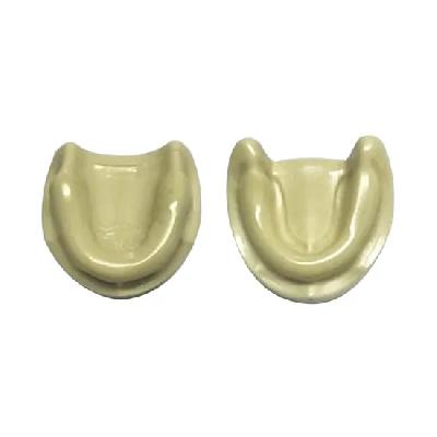 Radiopaque Model For Sinus Lift And Implant Placement