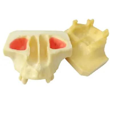 Sinus Lift Jaw - Transparent