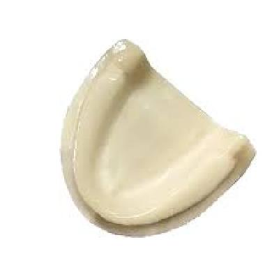 Sinus Lift Model With Jaw Bone