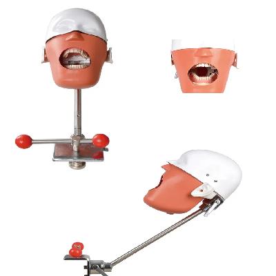 Table Leg Mount Dental Simulator Assembly