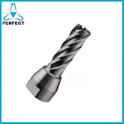 Broach Cutter HSS Annular Cutters (Core Drills)