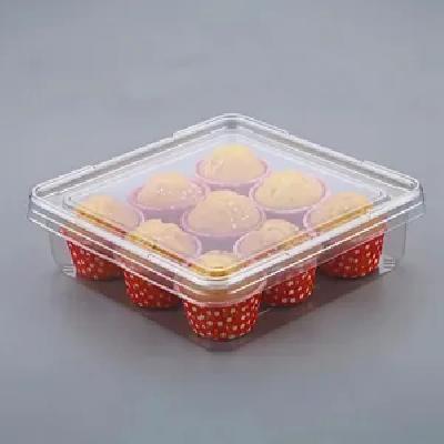 Transparent Plastic Box
