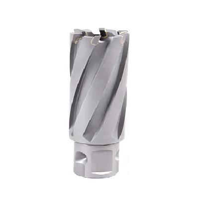 Totem TCT Annular Cutters