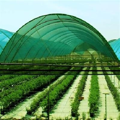 Agro Shade Net