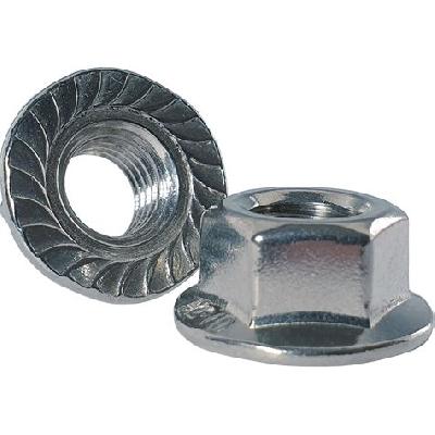 Flange Nut
