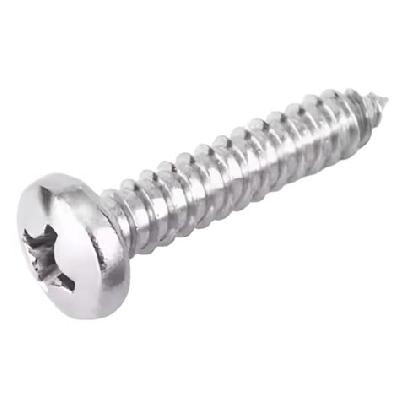Prabhat Philips Pan Head Self Tapping Screws