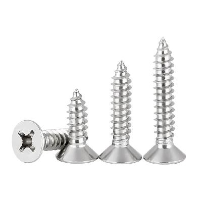 Prabhat Philips Self Tapping Flat Head Screws