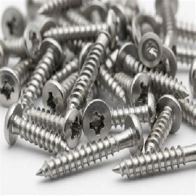 Self Tapping Screws-SS and GI