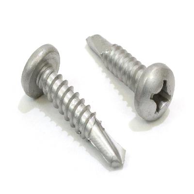 SS Self Tapping Screw