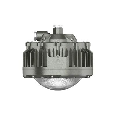 Explosion Proof Pendant Light Fittings