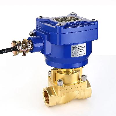 Flameproof Solenoid Valves